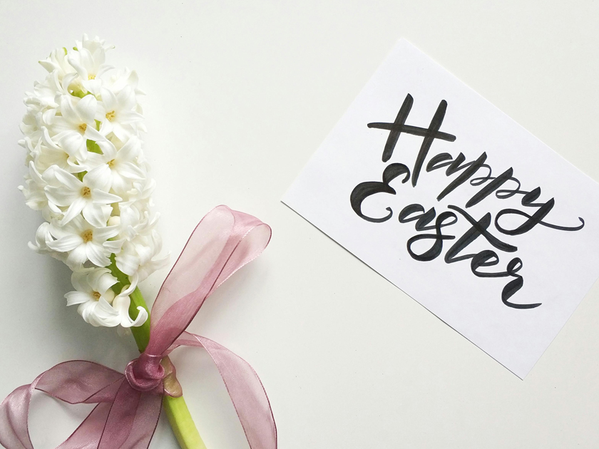 Myakka River Motorcoach Resort Easter Potluck event
