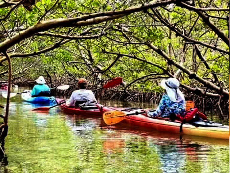 MRMR Kayakers