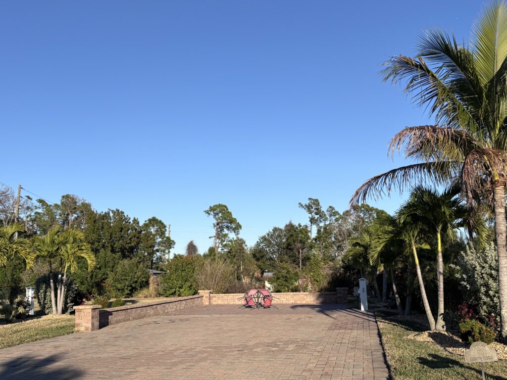 Lot 16