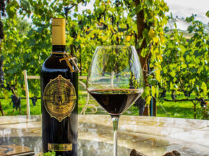 Wine Tasting 2026